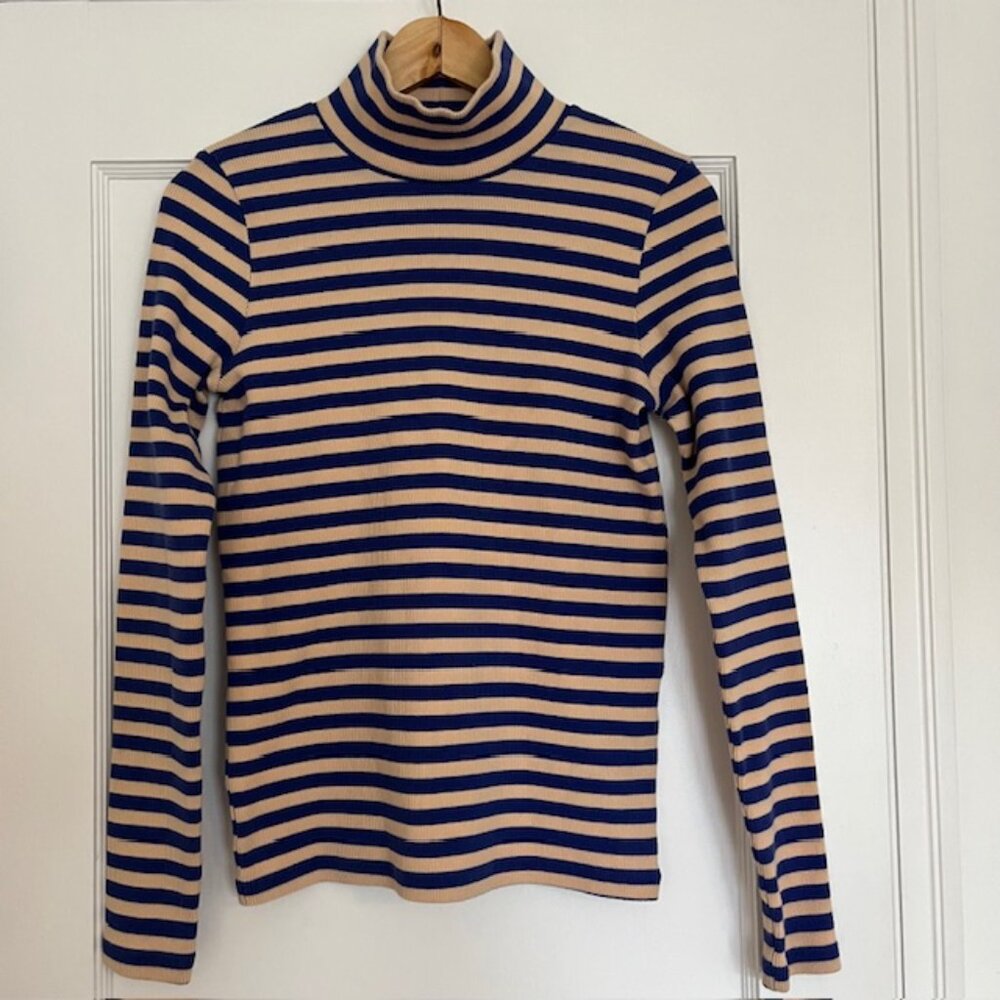 Mr. Larkin Blue and Pink Striped Ribbed Turtle Neck | Size M